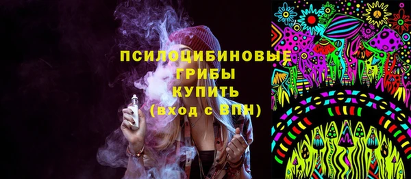 spice Белокуриха