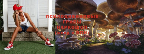 ешки Беломорск