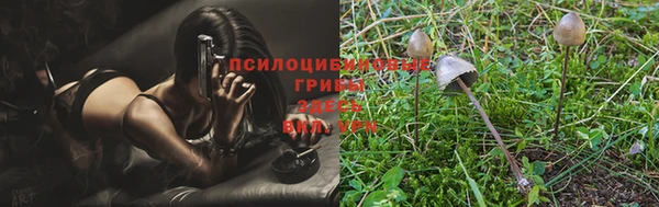 spice Белокуриха